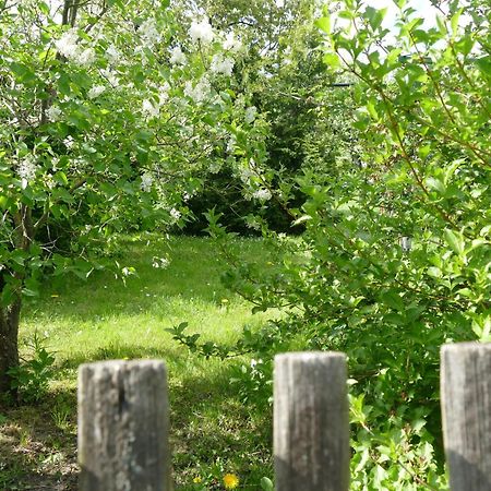 Spatzennest Вернигероде Экстерьер фото